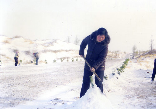 Eco-Tourism Expert Transforms Desert Landscape Eco-Tourism Expert Transforms Desert Landscape