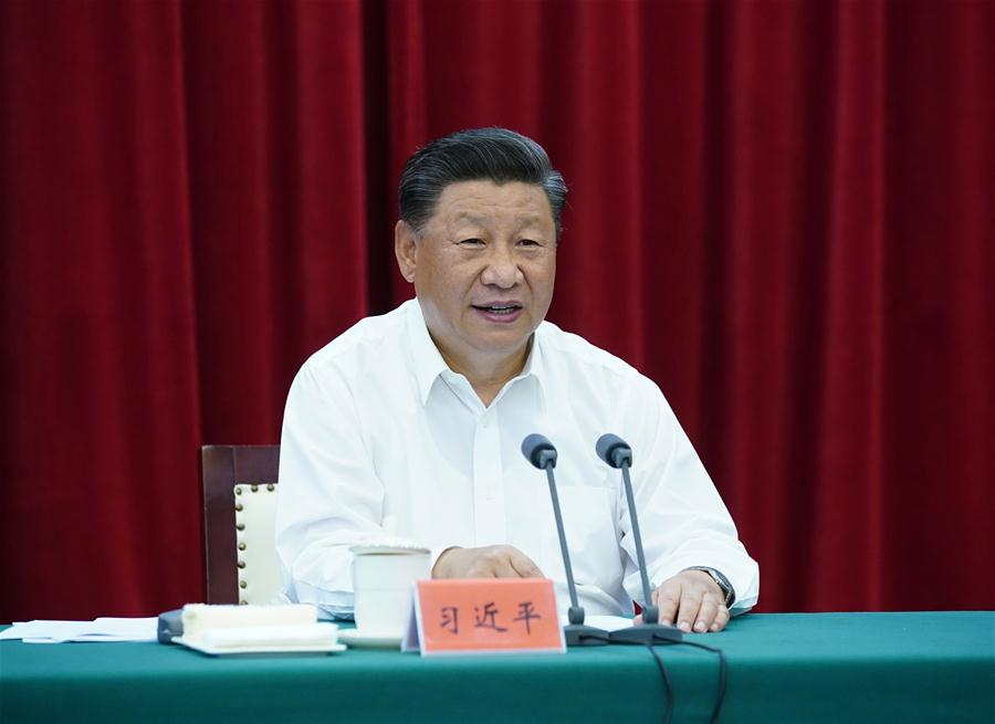 CHINA-ANHUI-HEFEI-XI JINPING-YANGTZE RIVER DELTA-INTEGRATED DEVELOPMENT-SYMPOSIUM (CN)