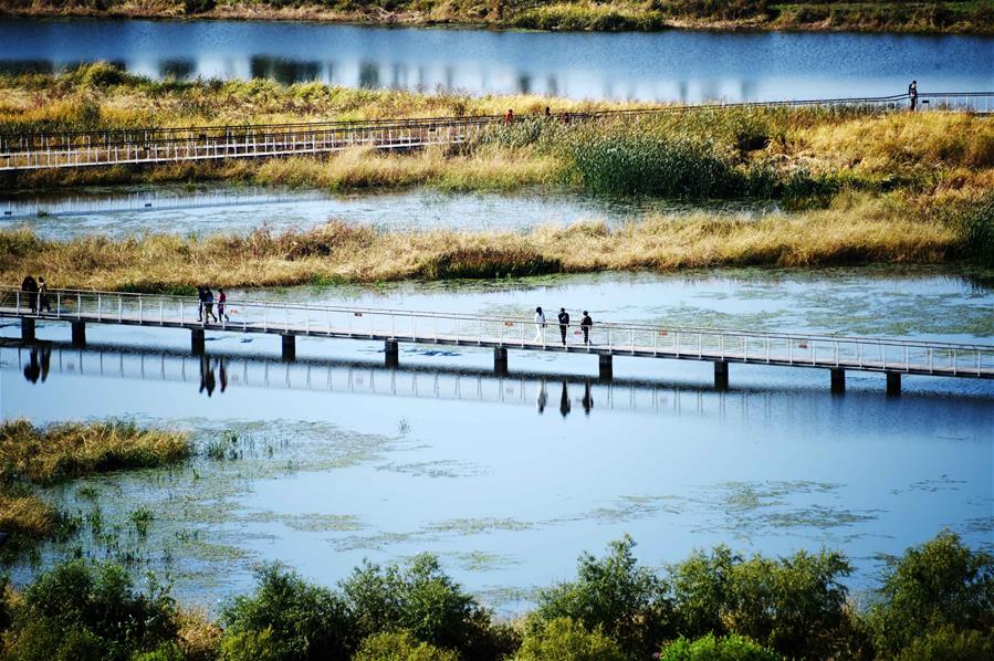 Central China's Wuhan to run for int'l wetland city