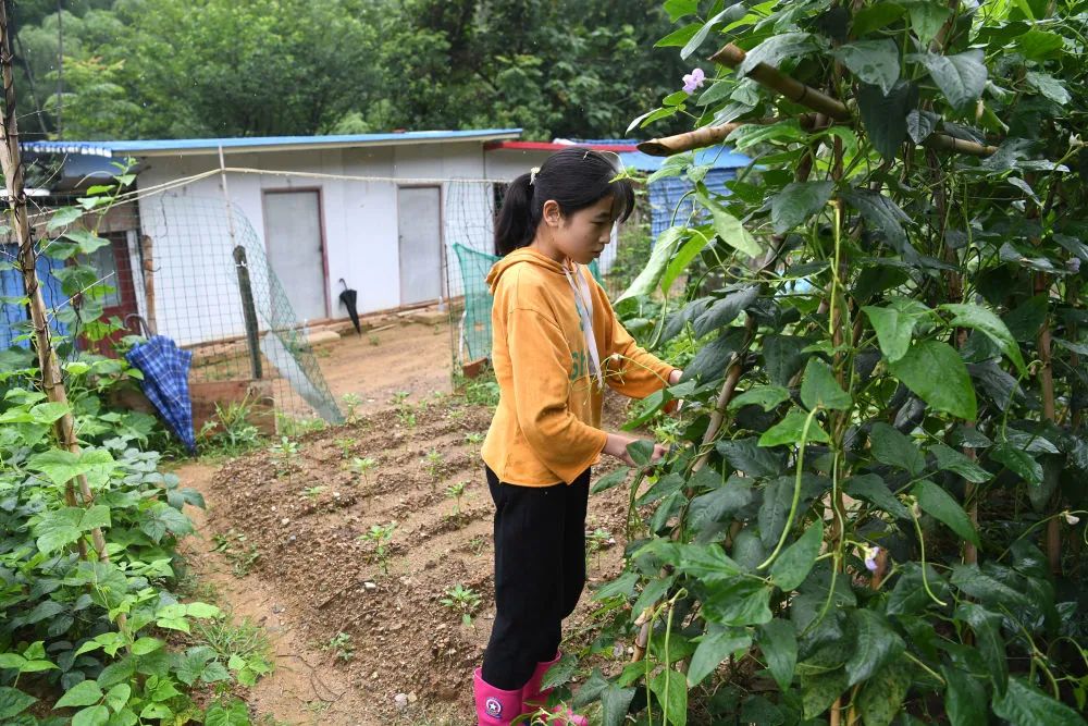 让大山女孩的梦想不“弯腰”！