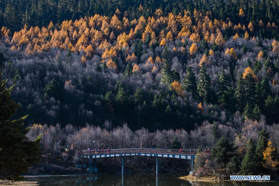 CHINA-YUNNAN-BIODIVERSITY (CN)