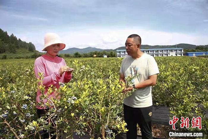 初建美在通化县光华镇调研蓝莓种植情况。赵超楠 摄 点击进入下一页